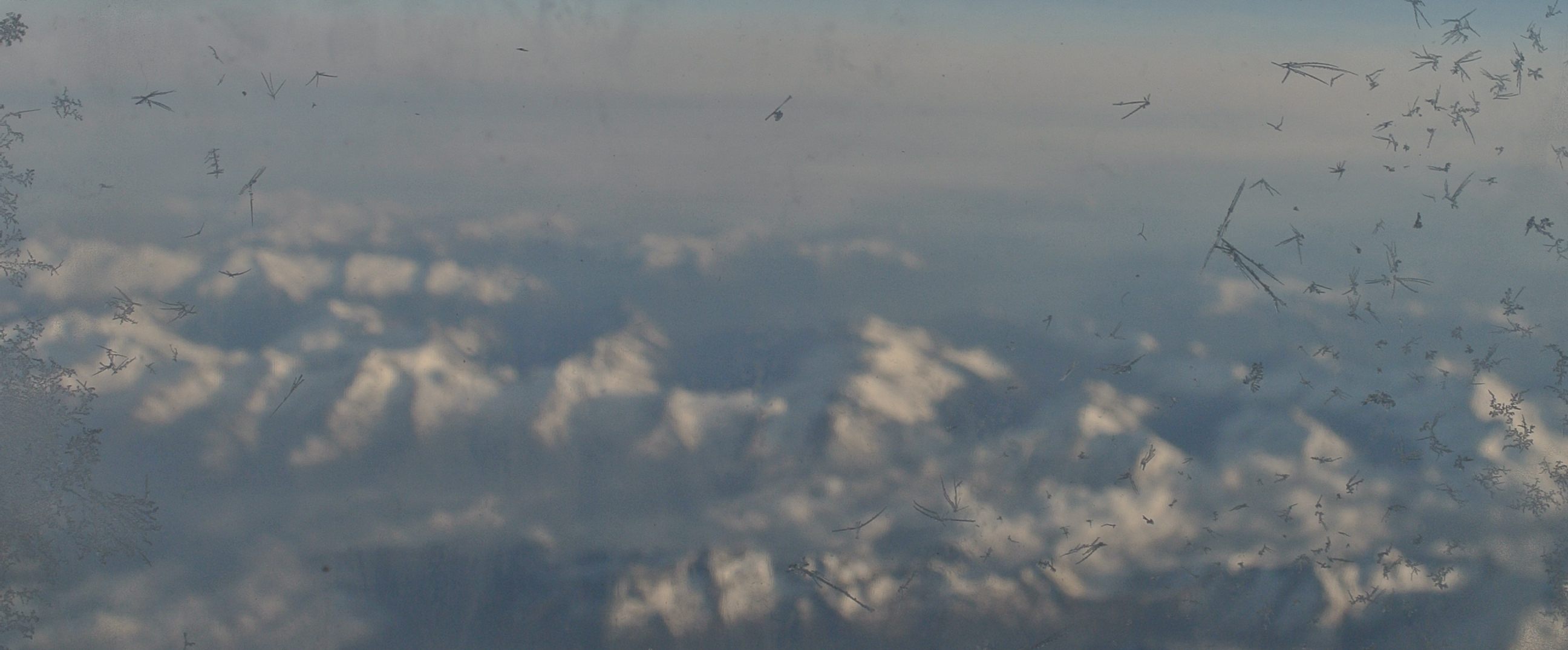 Frost accumulating on the outside of our plane window, above the Swiss Alps.
