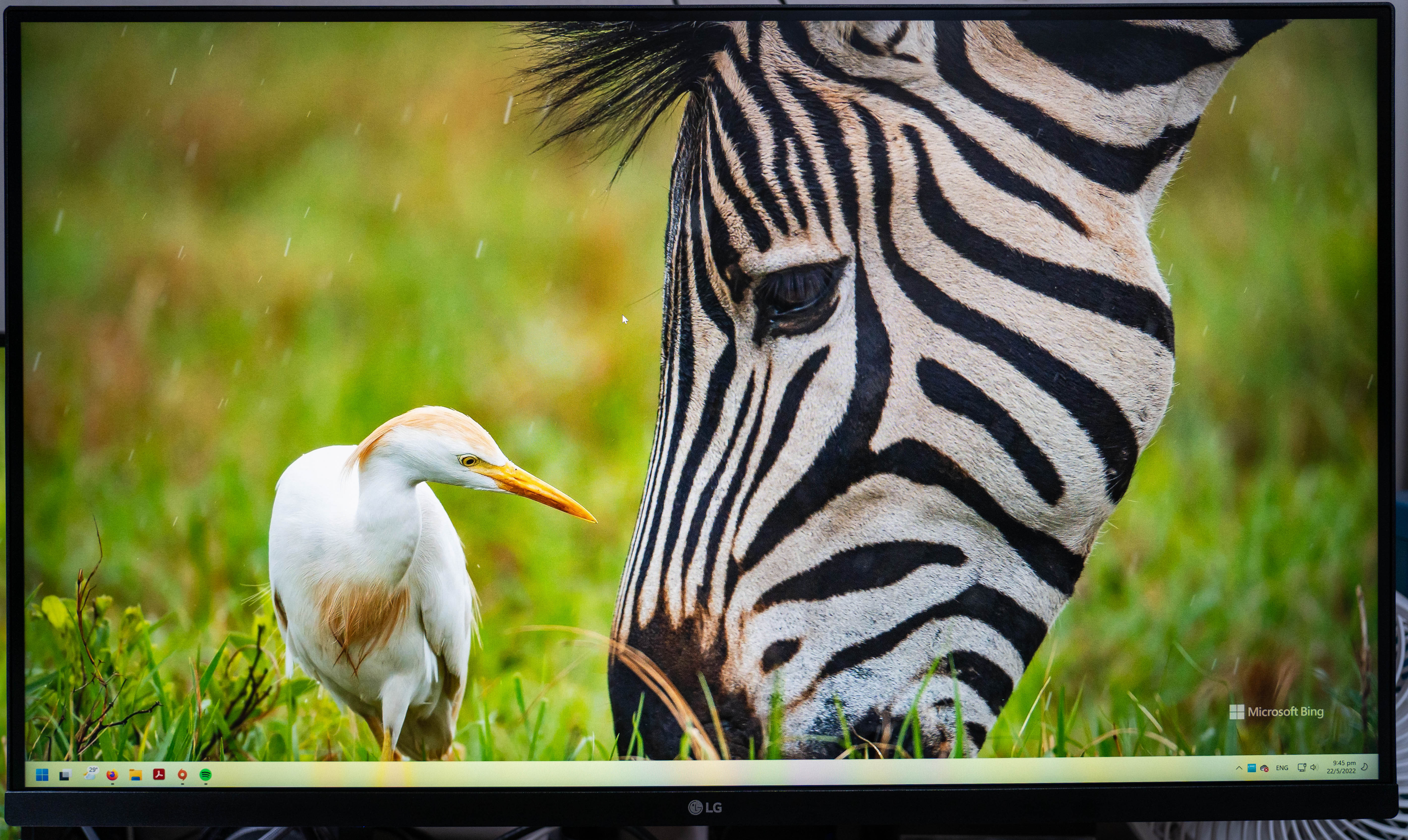 I bought Gigabyte M32U monitor for two weeks ago. is it much ips glow on  this monitor normal ? In the left side there is a vertical bar. What is it  exactly ?